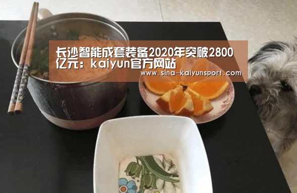 长沙智能成套装备2020年突破2800亿元：kaiyun官方网站(图2)