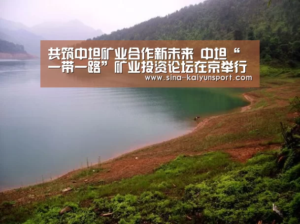 共筑中坦矿业合作新未来 中坦“一带一路”矿业投资论坛在京举行_kaiyun(图1) kaiyun官网