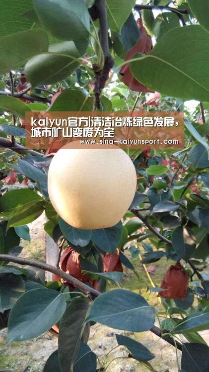 kaiyun官方|清洁冶炼绿色发展,城市矿山变废为宝(图2) kaiyun官方|清洁冶炼绿色发展,城市矿山变废为宝(图2)
