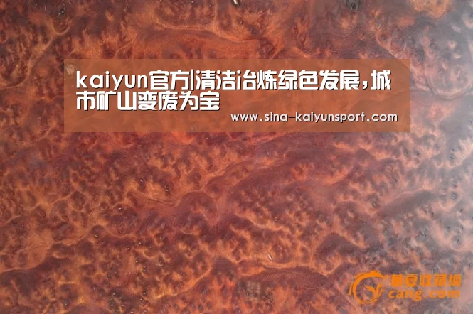 kaiyun官方|清洁冶炼绿色发展,城市矿山变废为宝(图1) kaiyun官方|清洁冶炼绿色发展,城市矿山变废为宝(图1)